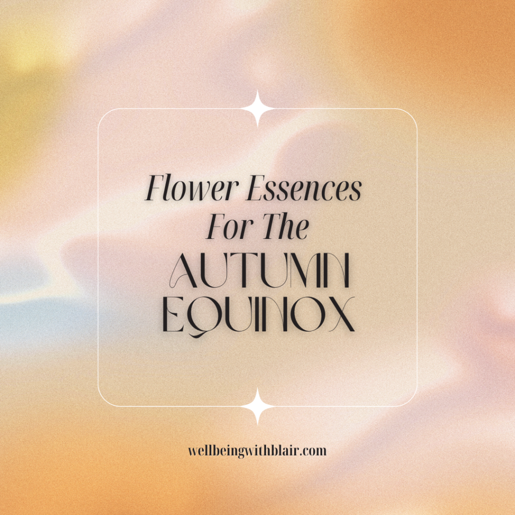 Flower Essences For The Autumn Equinox